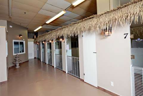 Spa 4 Paws Spa 4 Paws